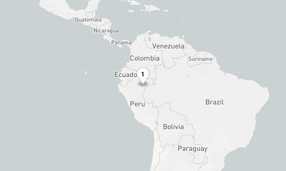 4 nights / 5 days, Nauta (Peru Amazon) Round trip