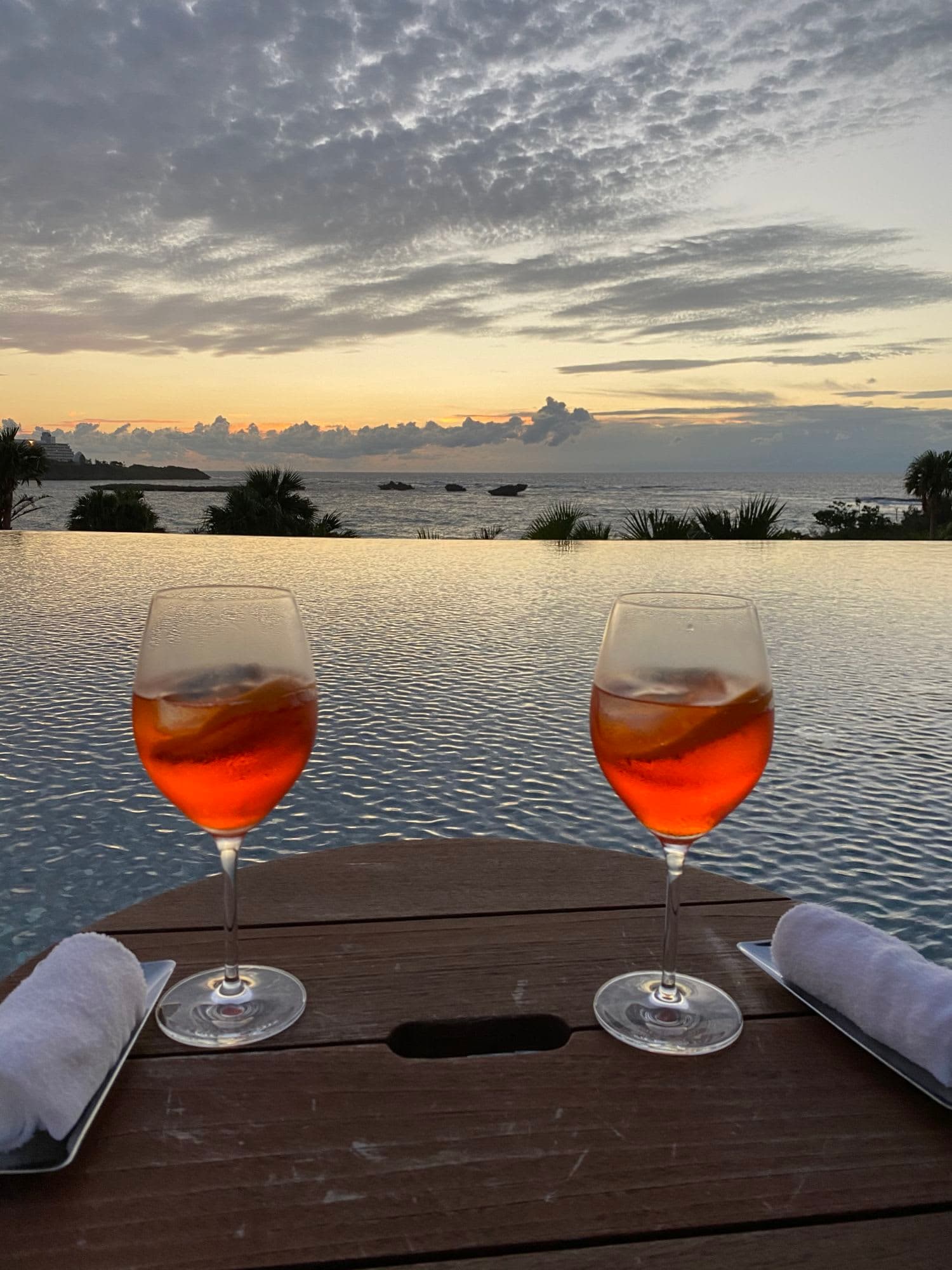 クルーズが恋しくて