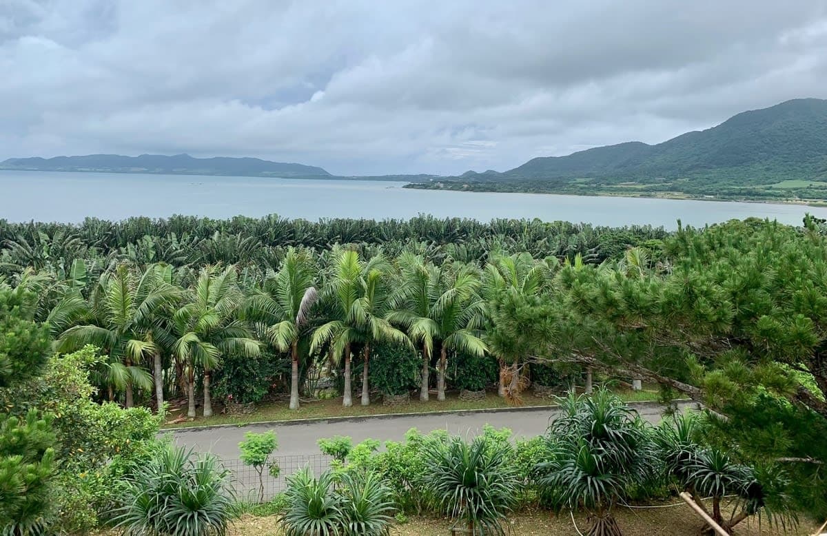 ダイヤモンドプリンセス  夏をさきどり（石垣島と基隆観光）