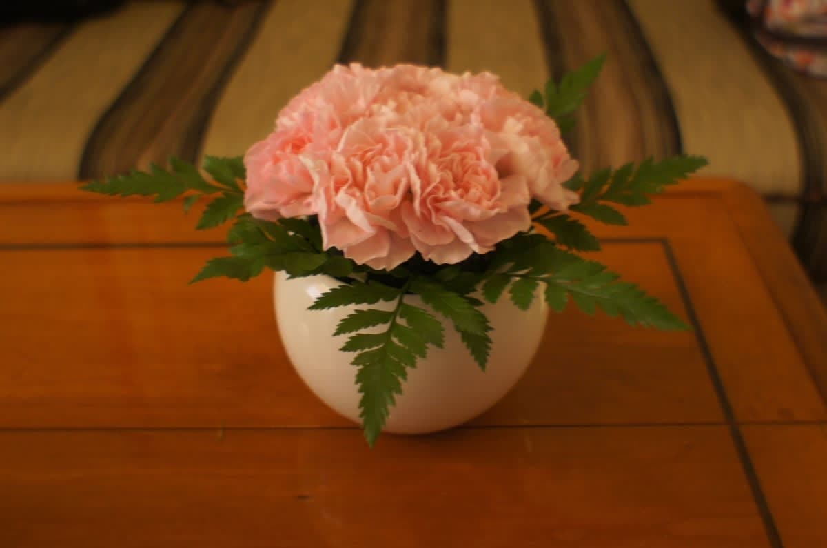 豪華客船 飛鳥IIでの３日間（１日目、横浜から出港）