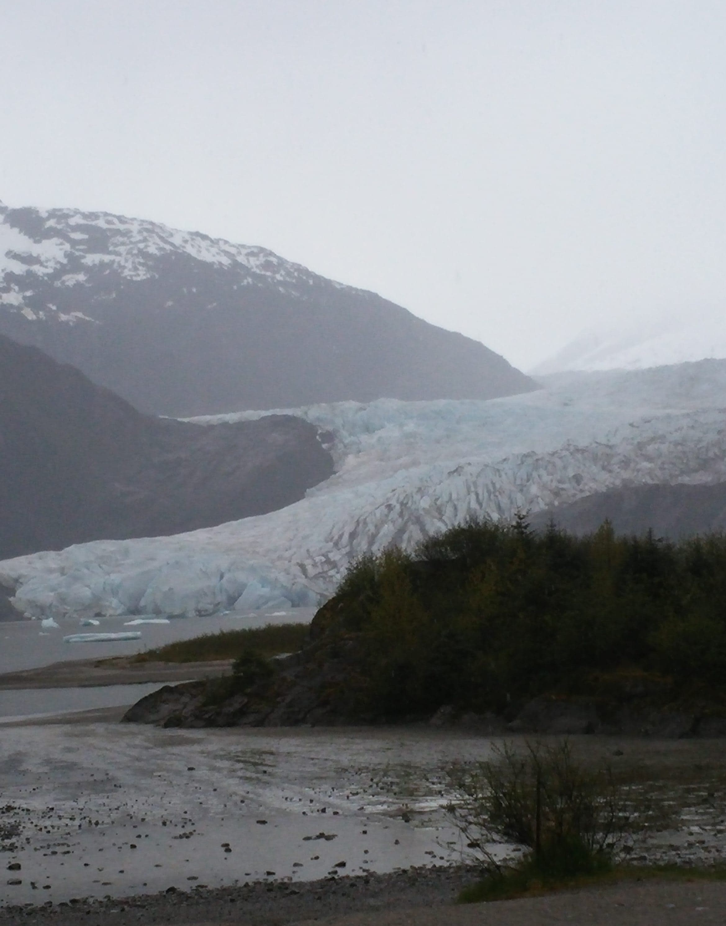 ホーランドアメリカフォーレンダム乗船記—寄港地で出会ったかわいい