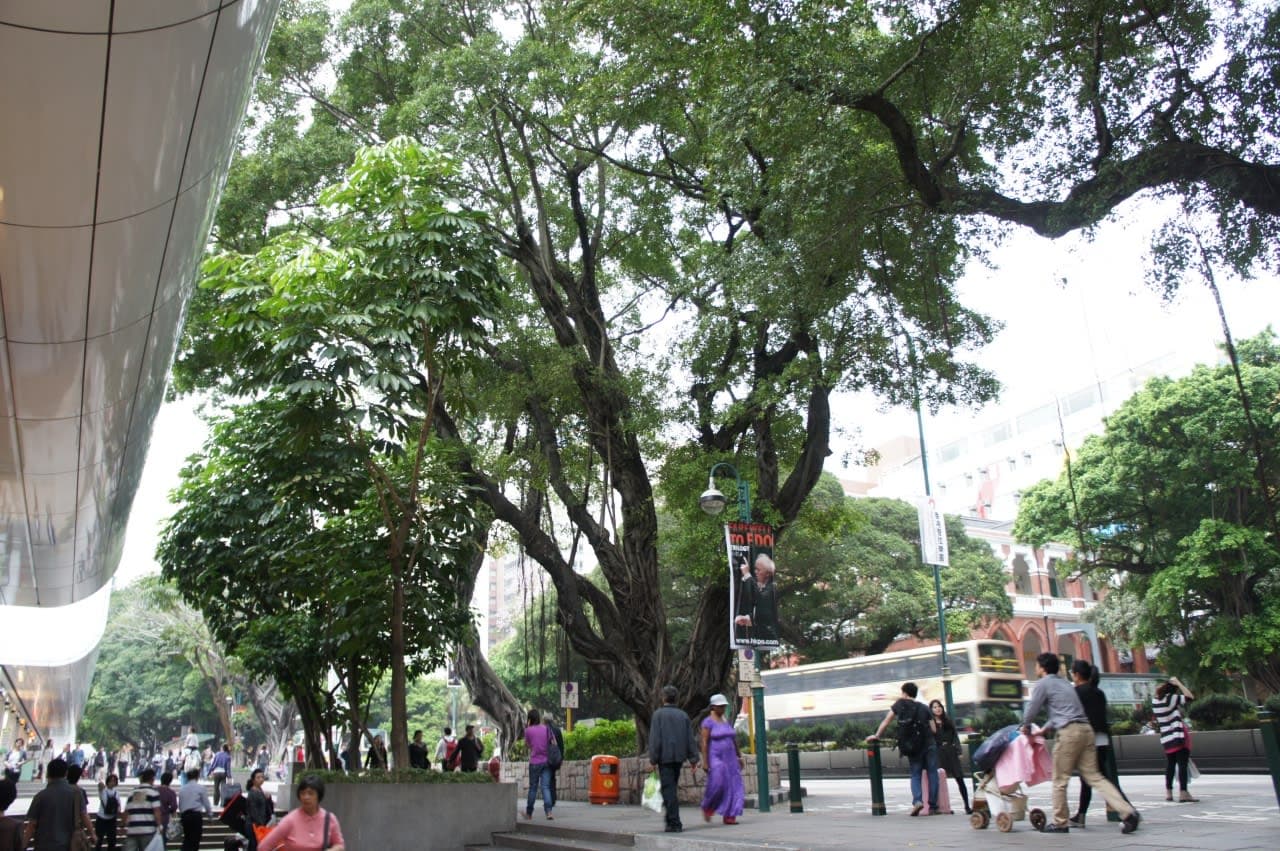 ホーランドアメリカ　ザーンダム号　香港～神戸クルーズ～2日目後半～香港