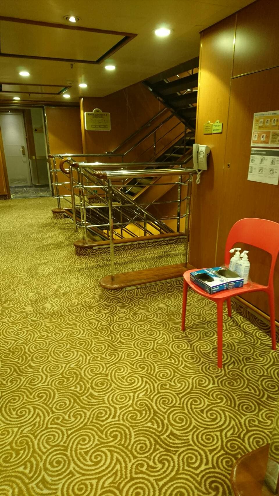 渦中のダイヤモンドプリンセスから（2月16日 20：30時点）