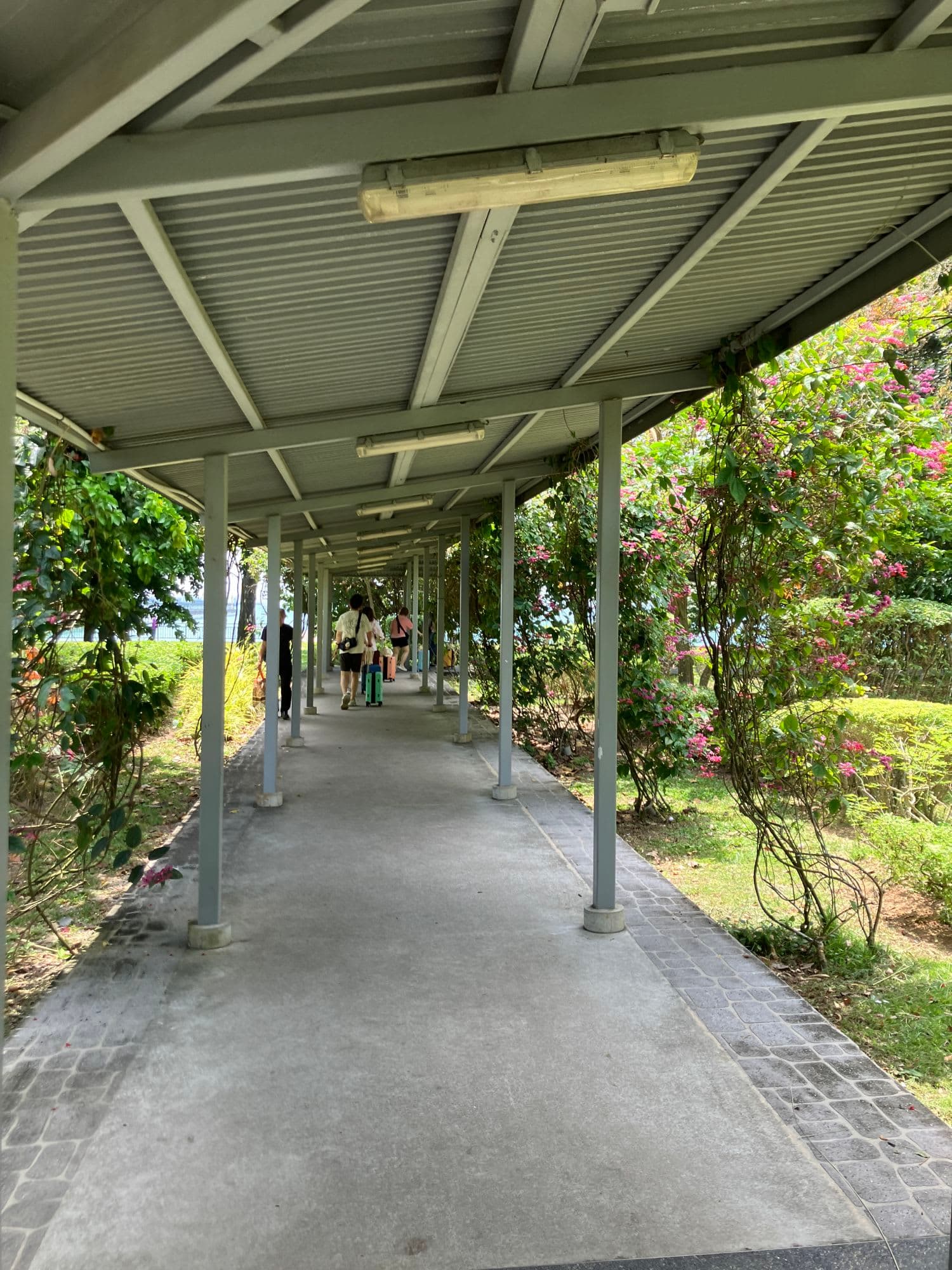 シンガポールからのクルーズ