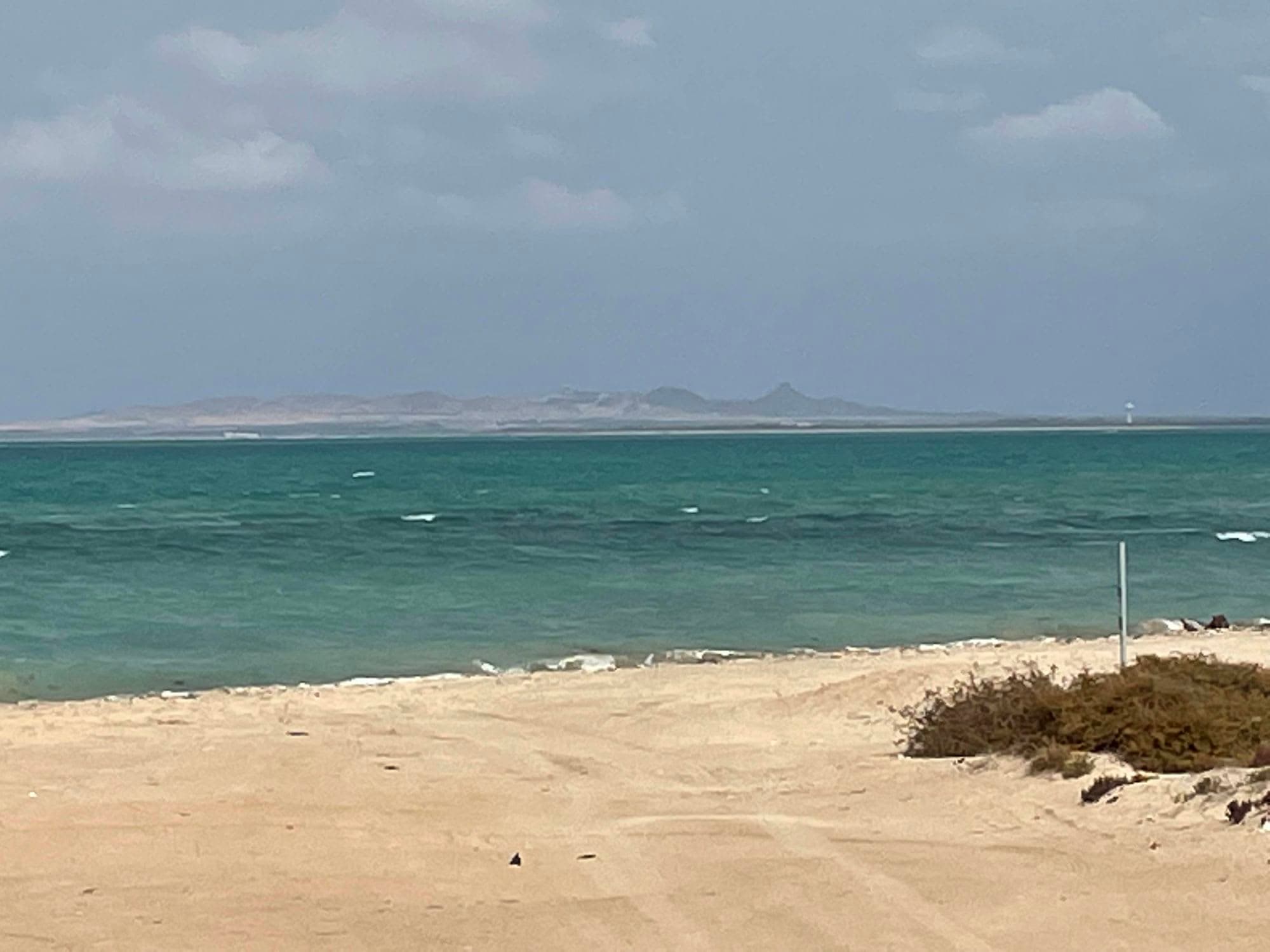 出張時の息抜き　（その9） ドバイ~アブダビ＋シルバニヤス島　アブダビ・シルバニヤス島編