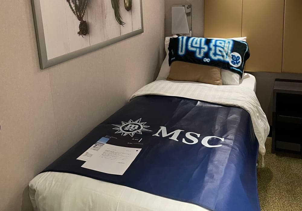 10 days Japan round trip