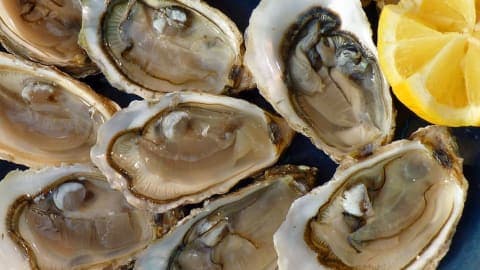 ベル=イル=アン=メール(ル・パレ)