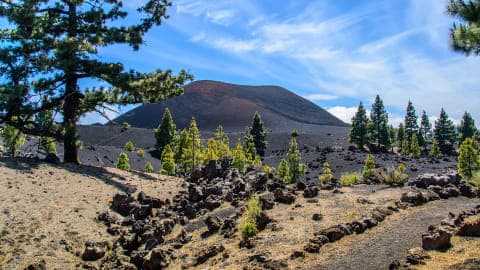 サンタ・クルス・デ・テネリフェ(テネリフェ島 / カナリア諸島)