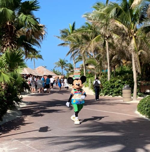 3 days, round-trip Bahamian Cruise