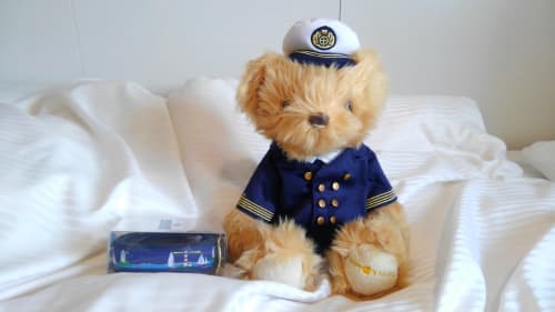 1 nights / 2 days, Yokohama to Shimizu