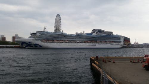 22 nights / 23 days, one-way from Sydney to Yokohama