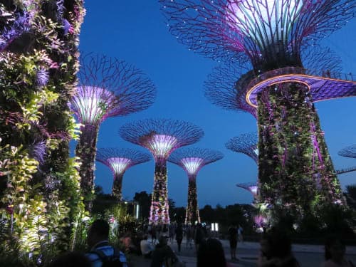 13-days one-way India & Southeast Asia Cruise