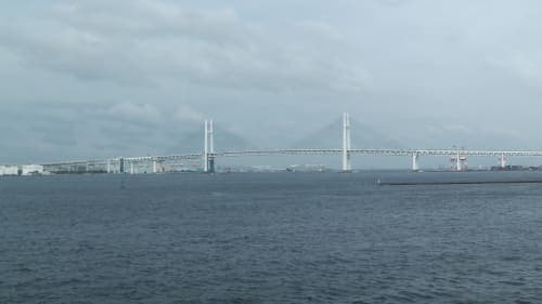 2 days Yokohama round trip