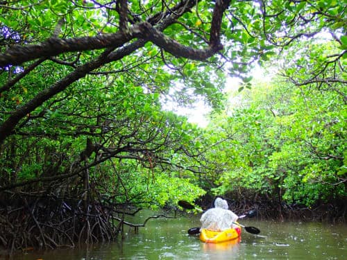 7 nights / 8 days, round-trip Southern Islands