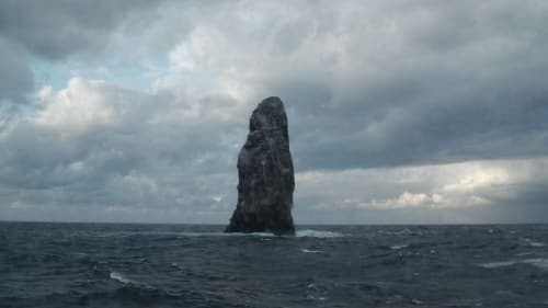 9 days Nipponmaru (New year cruise)