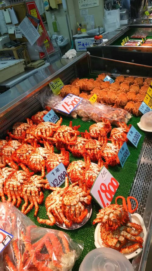 8 nights / 9 days, round-trip Circle Hokkaido