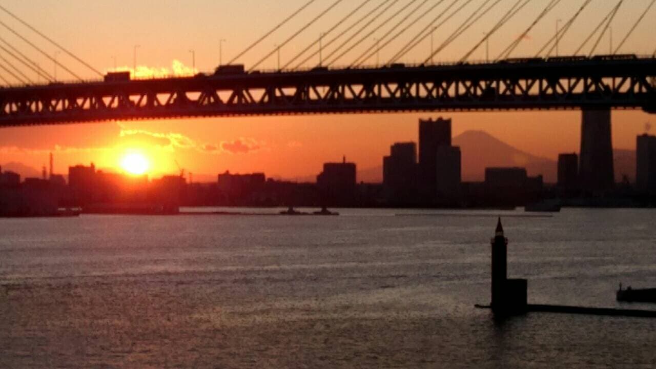 渦中のダイヤモンドプリンセス から(2月12日 18:00時点)