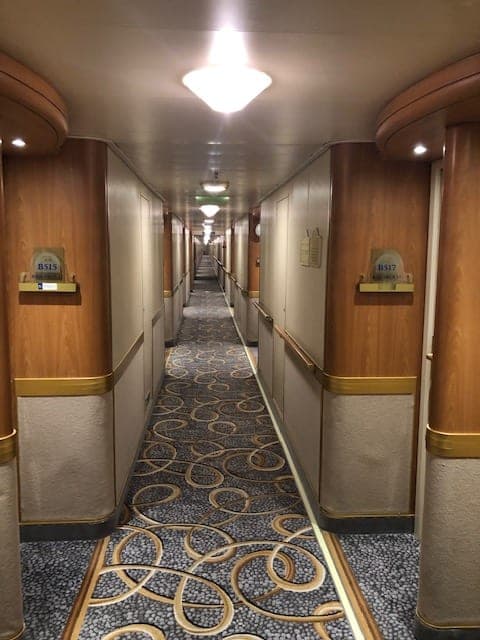 オドロキ モモノキ センジョウキ